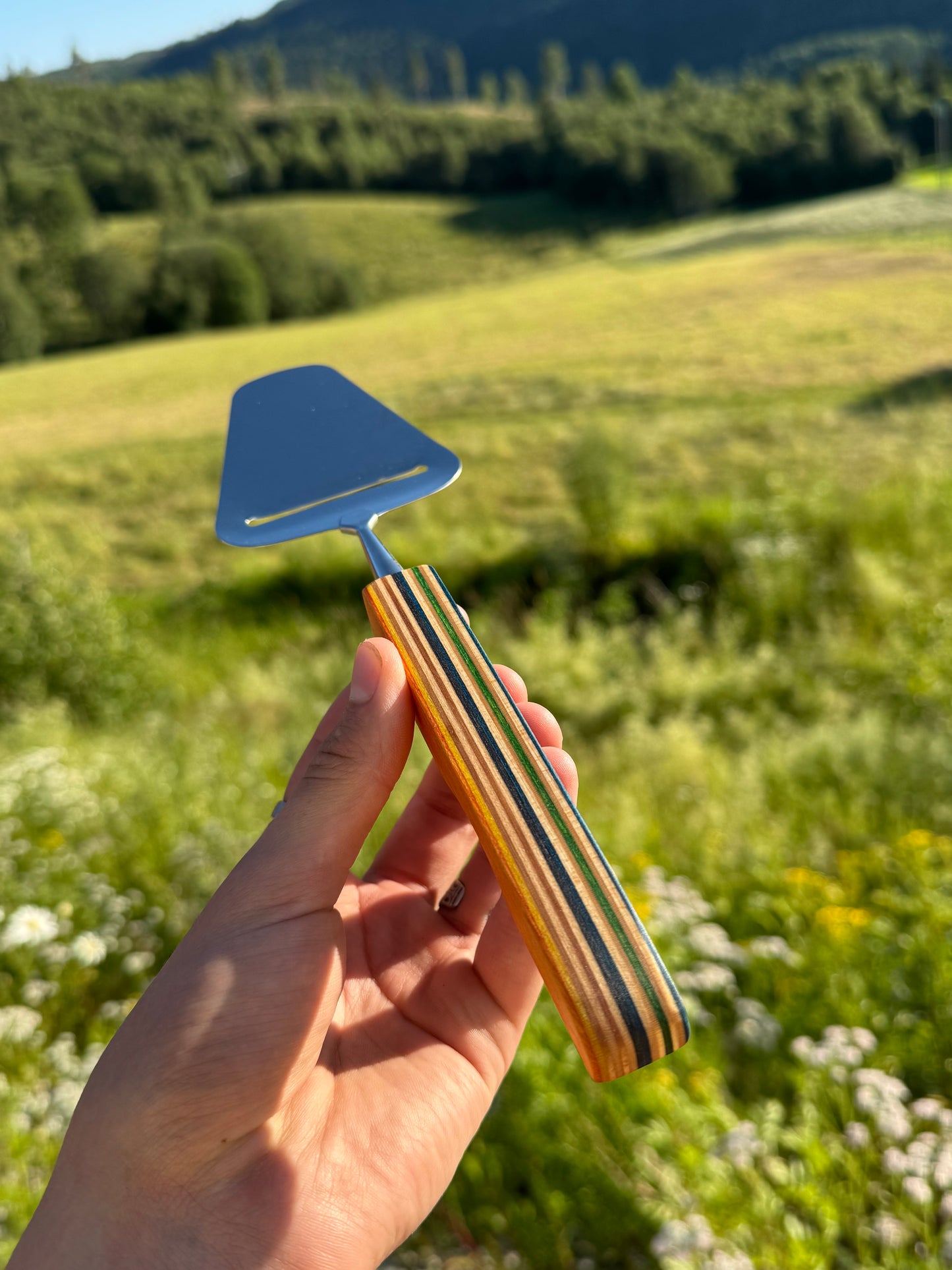 Cheese Slicer - recycled skateboard