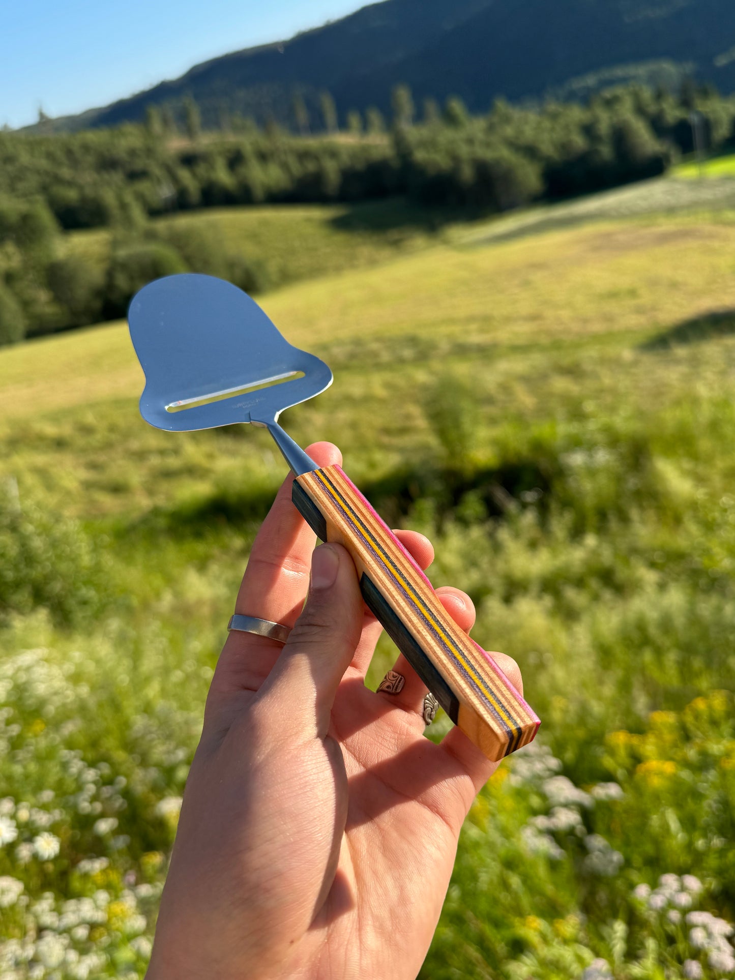 Cheese Slicer - recycled skateboard