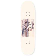 Passport 8.5 Josh Dorothy